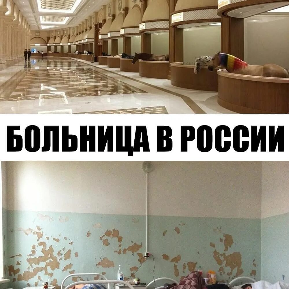 Конюшня в Дубае