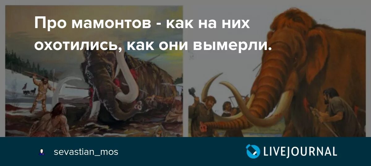 Питер брейгель старший малый ледниковый период. Когда начался ледниковый период на земле. Почему вымерли мамонты. Остров врангеля останки мамонта. Ледниковый период на земле.