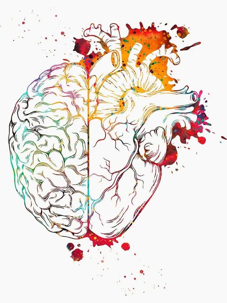 Heart and brain. Мозг и сердце. Мозг эскиз. Мозг иллюстрация. Мозг акварель.