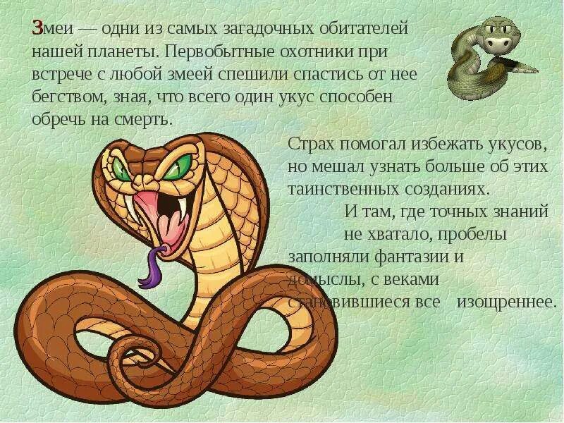Работа змейка. Факты о змее. Змеи интересные факты. Змеи интересные факты для детей. Факты про змею.
