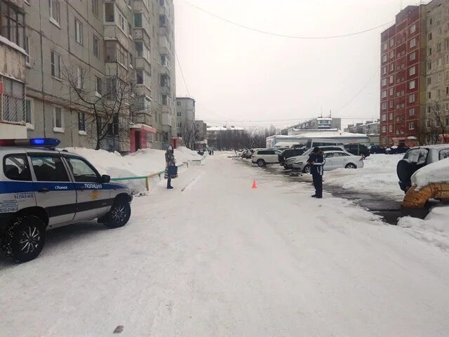Гаи усинск. Полиция усинск. Гаи усинск. Цветы от полицейского. Начальник гаи усть орда.