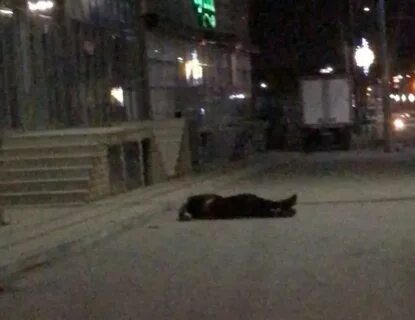 Перестрелка в дербенте