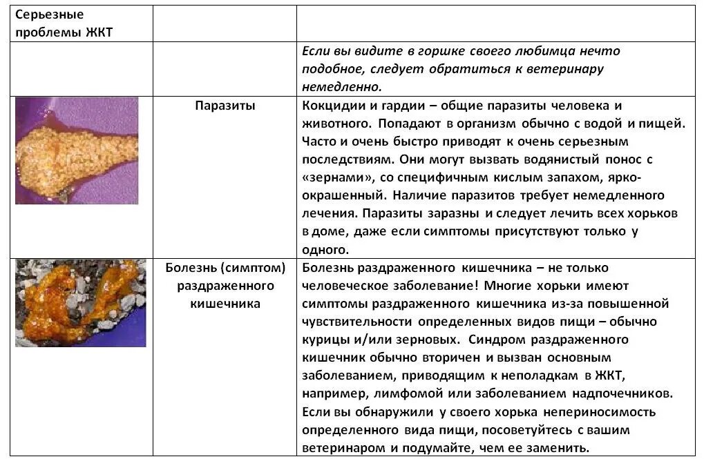 Можно сдать жидкий кал. Консистенция кала. Черный дегтеобразный стул у хорька. Дегтеобразный стул причины.