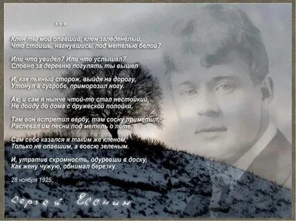 Под гитару на стихи есенина