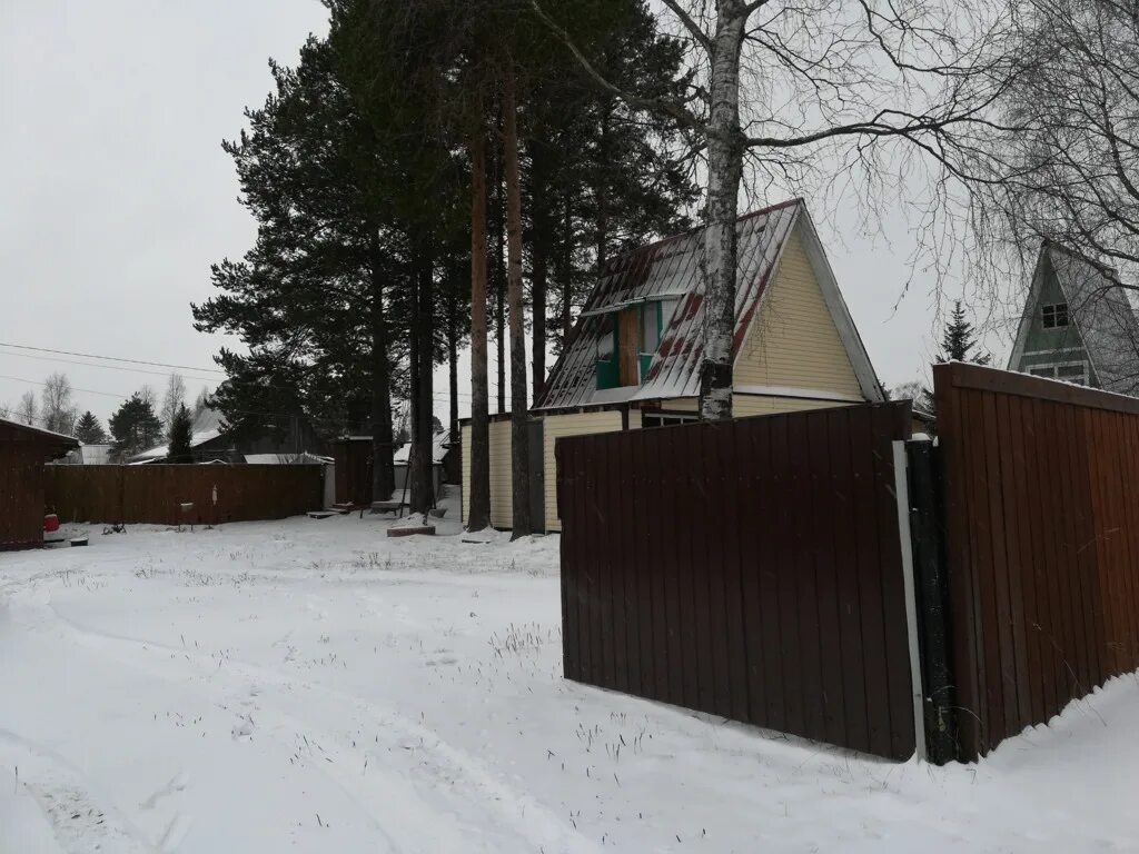 Дачная 59 архангельск магазин. Дачная 30 архангельск. Архангельск улица дачная. Дачная 40 архангельск. Главтрасса транспортная компания.