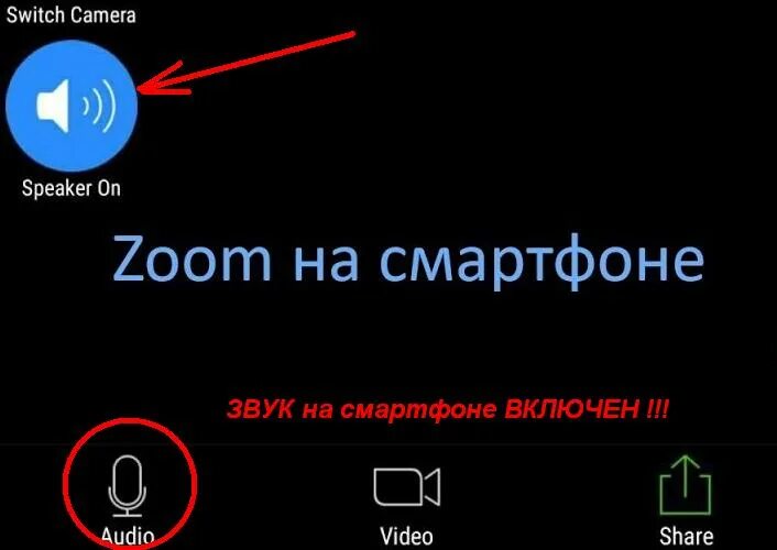 Как транслировать звук в микрофон. Громкость звука на телефоне в зуме. зум звук. значок выключения звука в зуме. как включить звук в зуме.