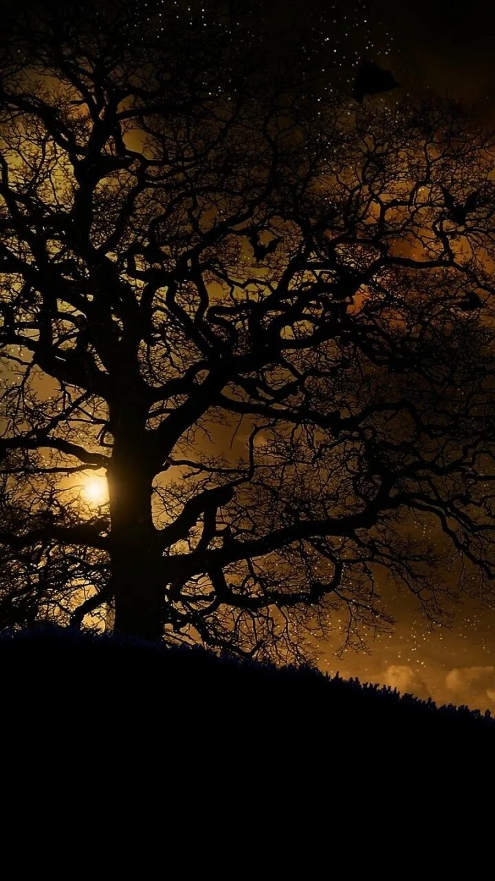 Печальный пейзаж. Деревья осенью ночью. Деревья осенью ночью. Осень вечер. Осенняя ночь.