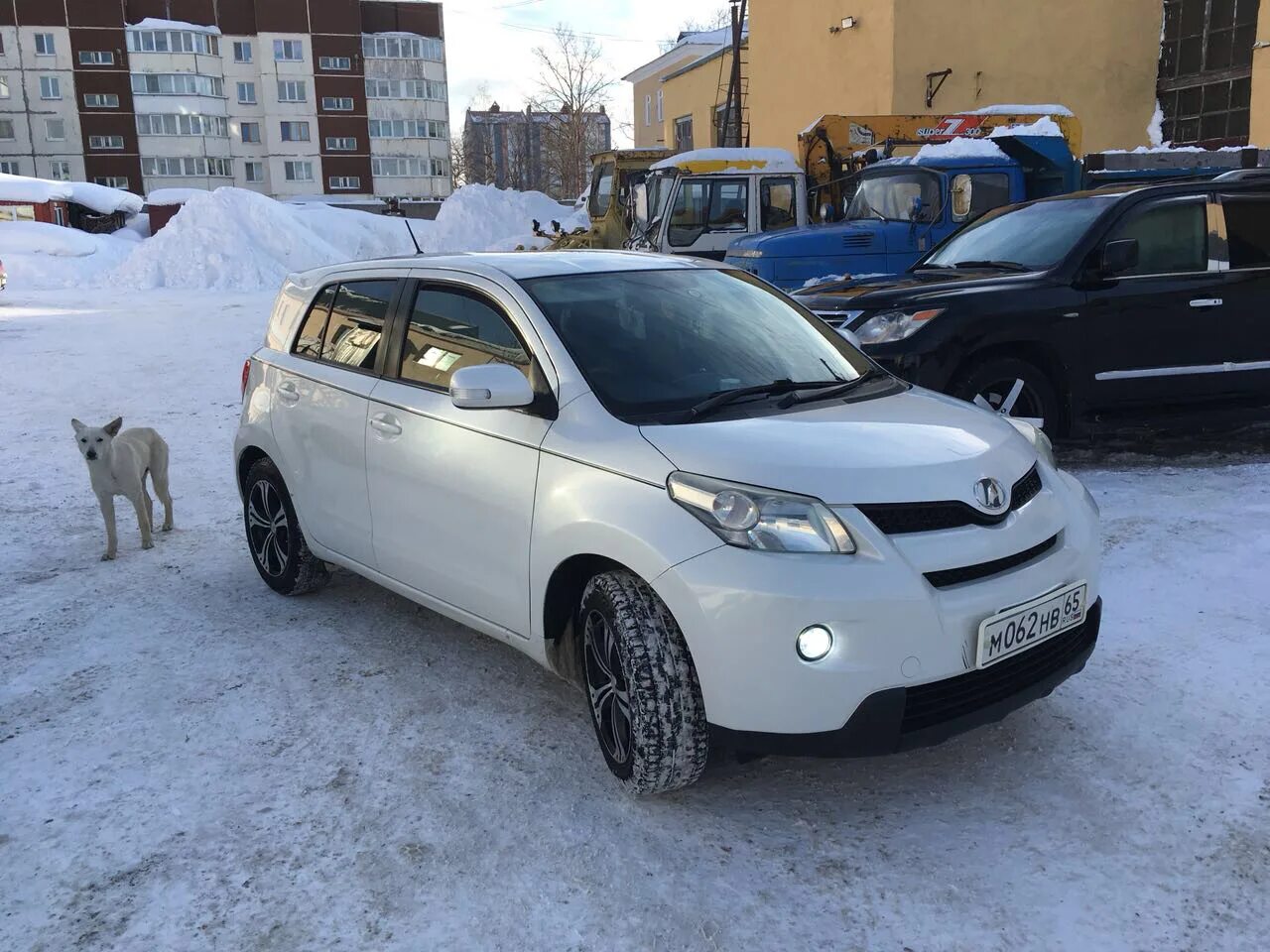 Ист риффа. Тойота ист 2008 года. тойота ист 2. toyota ist/temp. тойота ист 2025.