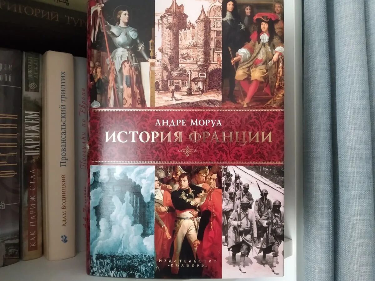 Французская история книга