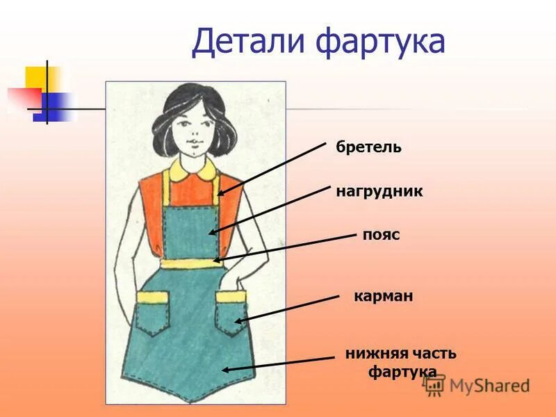 урок технологии 5 класс. части фартука названия. моделирование фартука 5. фартук урок технологии 5 класс. открытый урок по технологии 5 класс.