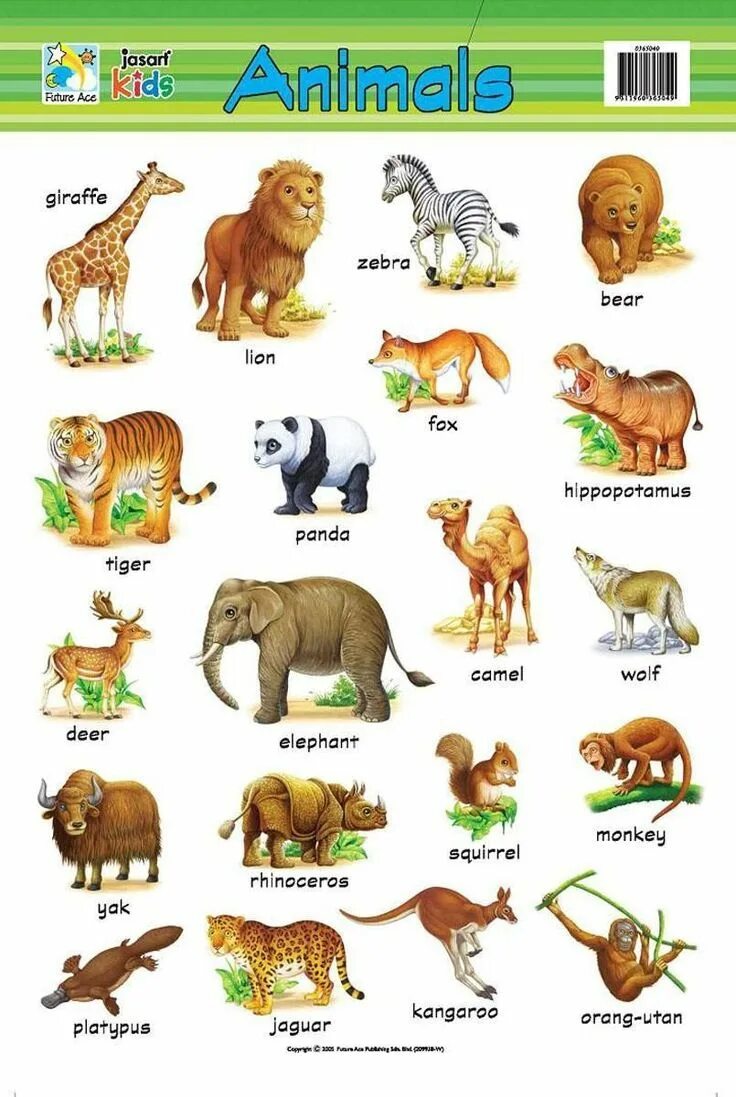 Domestic animals for kids. Домашние животные на английском. Животные на английском. Дикие домашние животные по английскому. Дикие домашние животные по английскому.