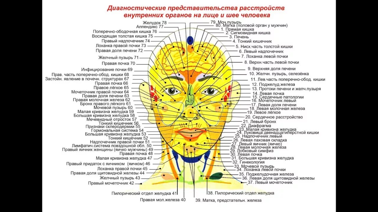 Лицо высыпания какие органы