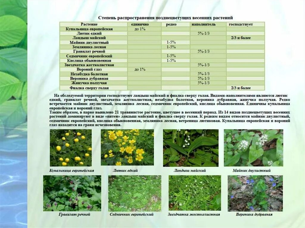 В какой растительной зоне коэффициент. Седмичник Европейский описание. Майник классификация. Экологические группы растений по отношению к свету сосна седмичник. Тольятти преобладающие растения.