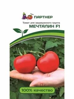 Томат мечталин