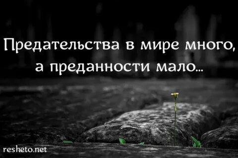 Кто окажется предателем
