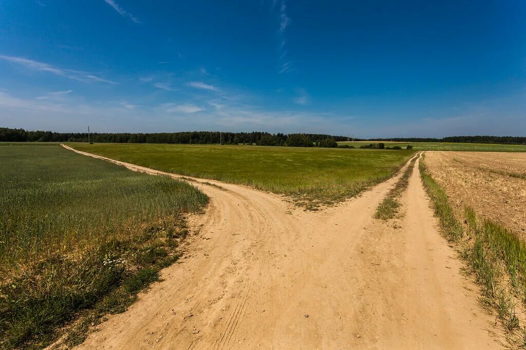 Не та земля дорога. Дорога в деревне. Грунтовая дорога. Грунтовая дорога в поле. Дорога с развилкой.