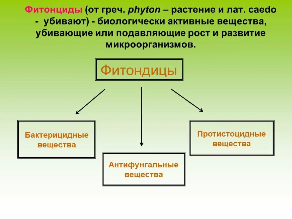 Фитонциды убивающие болезнетворные бактерии. Фитонциды растений. Фитонциды это. Фитонциды это бактерицидные вещества. Классификация фитонцидов.