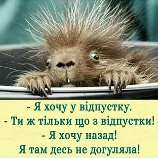 Приколы после рабочего дня