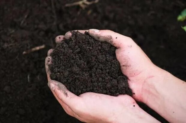 Почва. Пестициды в почве. Разложение почвы. Удобрение почвы. Загрязнение почв удобрениями