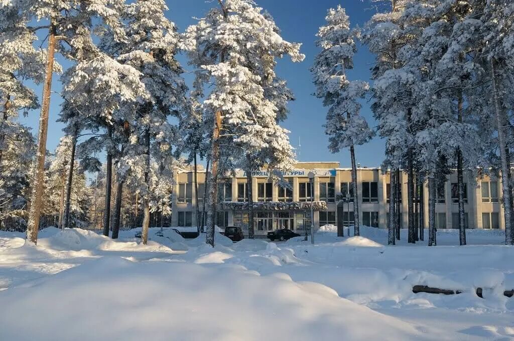 сосновый бор ленобласть. лес сосновый бор нефтекамска. памятники города сосновый бор ленинградской области. деревня медный завод ленинградская область. лена сосновый бор.