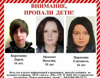 Поиск беларусь