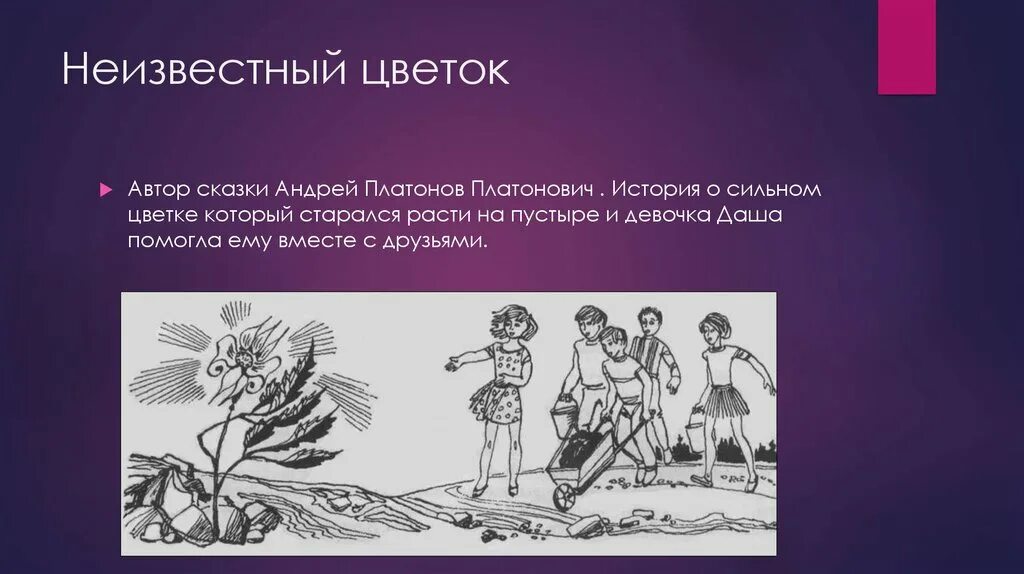 Тест неизвестный цветок 6. Сказка неизвестный цветок Платонов. Платонов а. "неизвестный цветок". Платонов сказка быль неизвестный цветок. Рассказ неизвестный цветок.