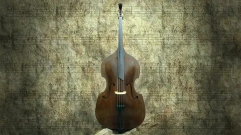 Длинная скрипка