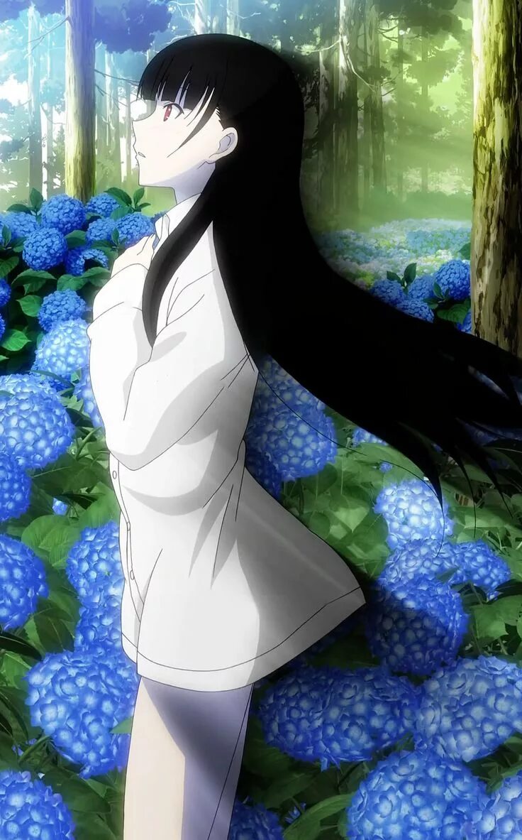 Sankarea. Санка рэа. Sankarea. Санка рея цветы. Санка рэа (2012).