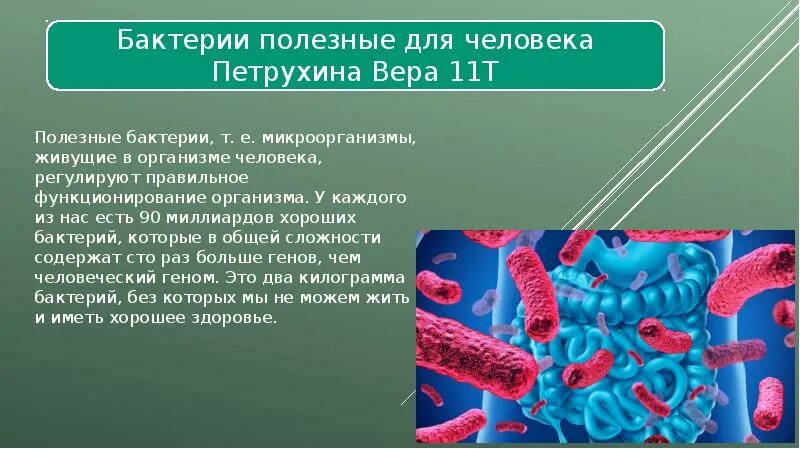 Полезные микроорганизмы. Бактерии. Полезные бактерии. Полезные бактерии для человека. Полезные микроорганизмы для человека.