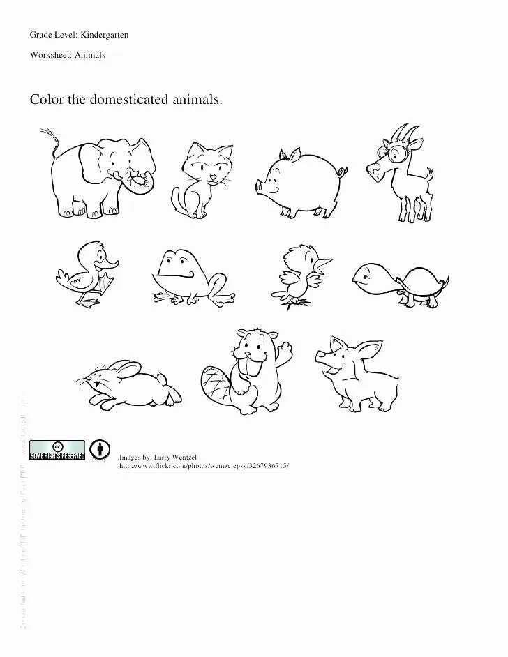 Worksheets животные. Животные Worksheets for Kids. Английский упражнения animals Worksheet. Animals Worksheets for preschoolers. Wild animals worksheet