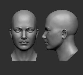 Head reference for 3d modeling