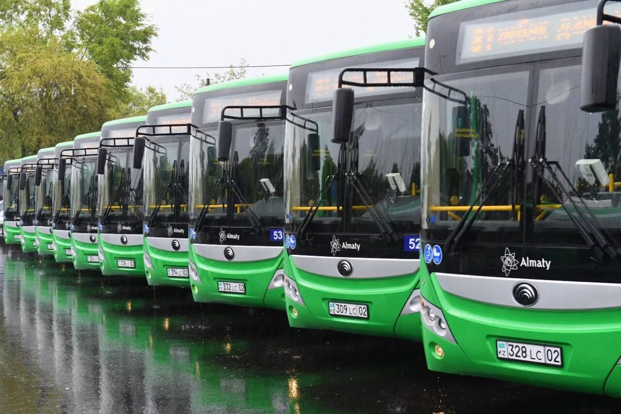 В автобусном парке 12 процентов всех автобусов
