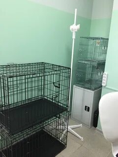 Велес обнинск ветклиника