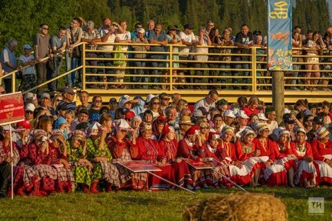 Питрау 2024 зюри когда будет