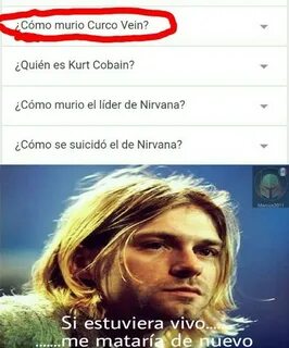 Курт мемы