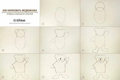 Рисуем медведя поэтапно