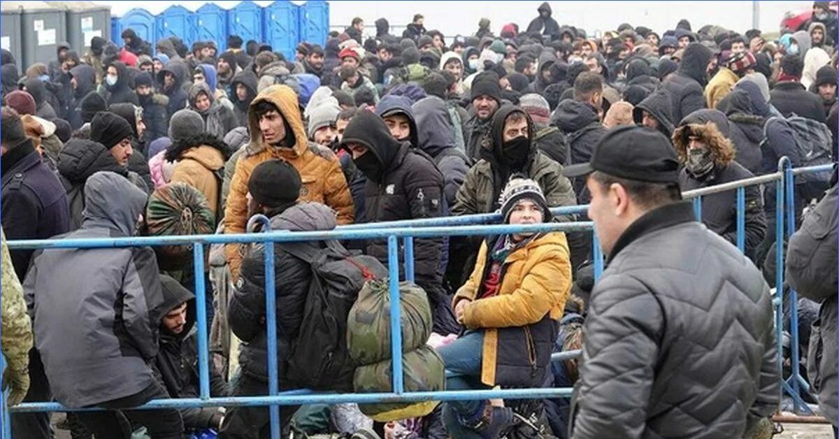 Мигранты на польской границе. Мигранты на границе Беларуси. Беженцы на границе. Мигранты в Польше.