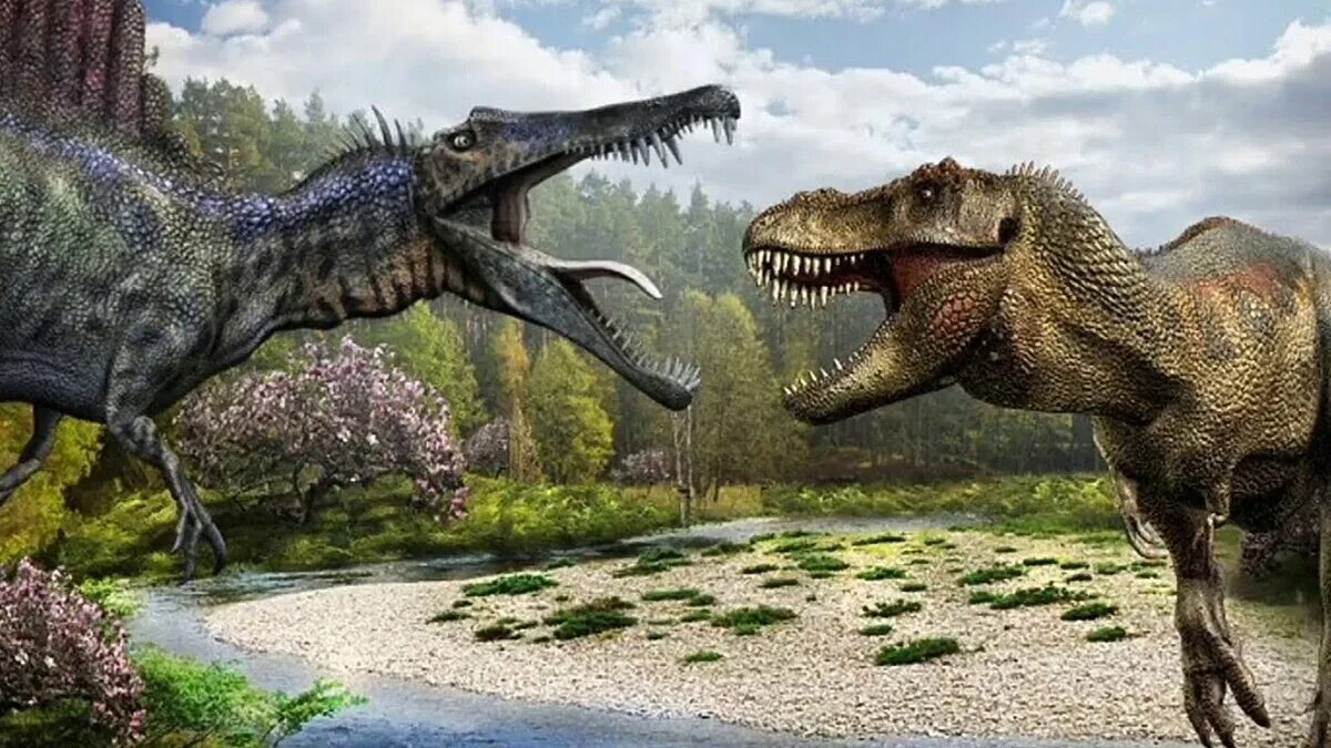 Гигантозавр против. Спинозавр Тиранозавр. Спинозавр и Тирекс. Спинозавр против тиранозавра. Динозавры Спинозавр против тиранозавра.