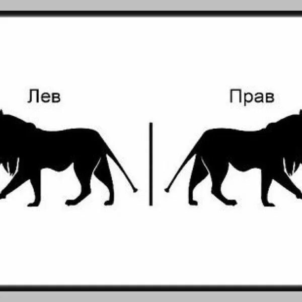 Есть кто прав лев. Лев прав. Лев прав приколы. Лев прав Мем. Я прав ты Лев.