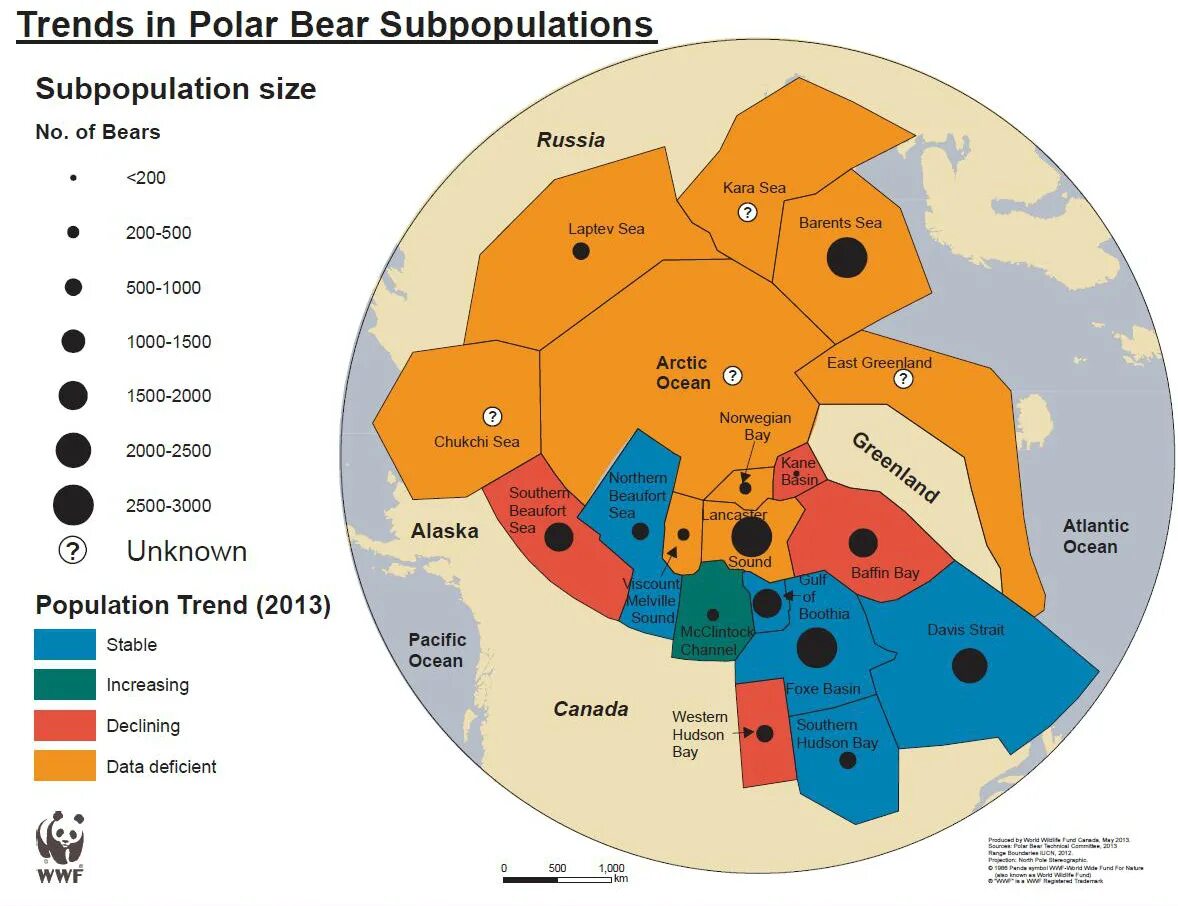 Where do Polar Bears Live. Bear Habitat in Russia Map. Bear Habitat in Russia. Polar Bears on the Map. Where bears live