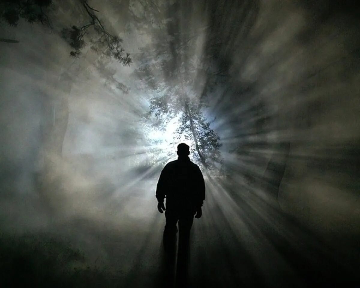 Свет из тьмы. Зверь в пещере лавкрафт арт. Человек во мраке. Существа идущие к свету. Существа идущие к свету.