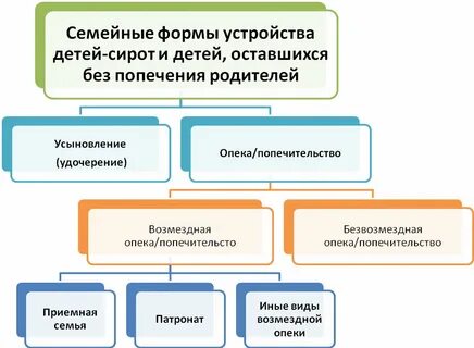 Формы государственного устройства детей