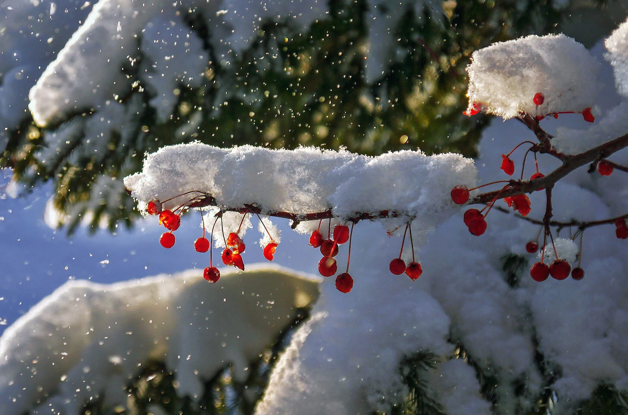 Снежный день на русском. Снег идет. Красивый снегопад. Снежная зима. Падающий снег.