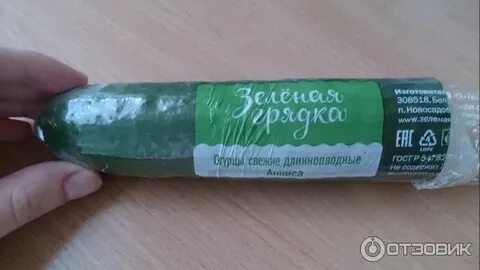 Огурцы зеленая грядка