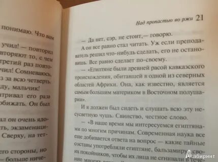 Над пропастью во ржи кратко по главам