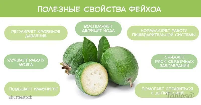 Фейхоа кбжу. Фейхоа фрукт витамины. фейхуахуа фрукт полезные свойства и противопоказания. чем полезна фейхоа для организма. чем полезна фейхоа.