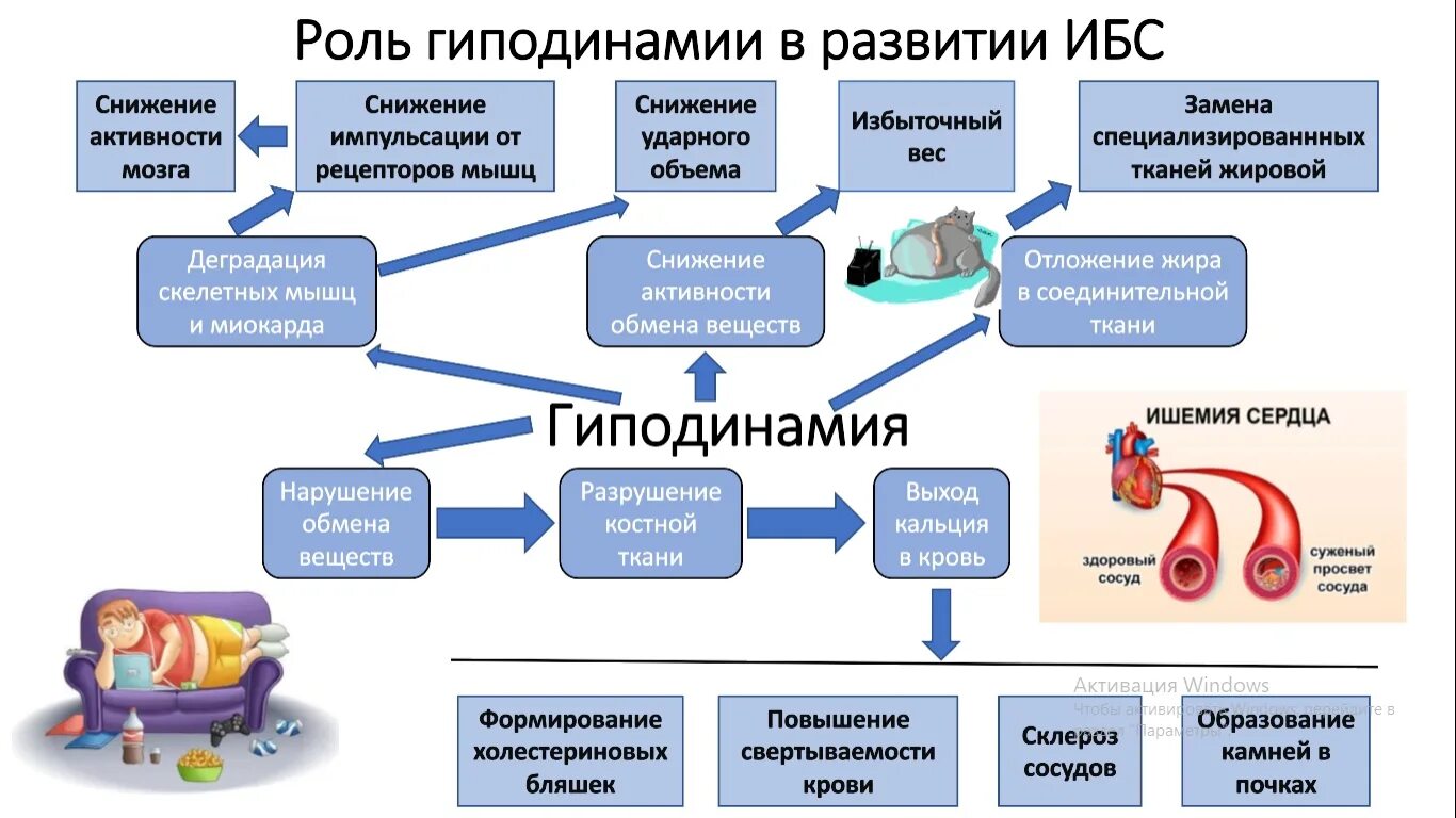 Гиподинамия тест с ответами. Буклет на тему гиподинамия.