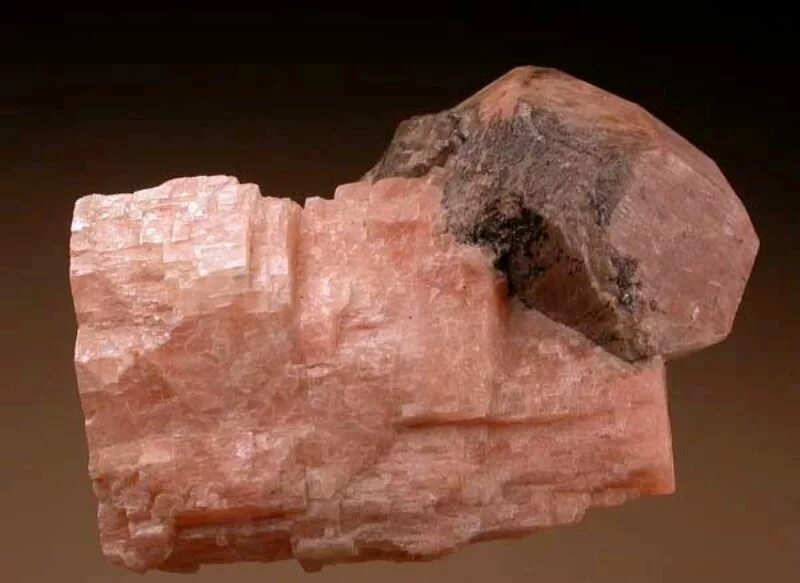 кроссворд ( минералы и горные породы) географии. кроссворд на тему собаководство. кроссворд из минералов. протеста 4 буквы сканворд. беспредельная власть сканворд 8.