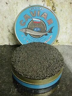 Белужья икра