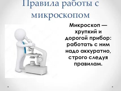 5 класс биология правила работы с микроскопом